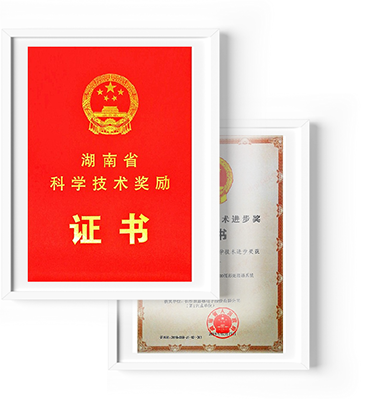 获奖荣誉